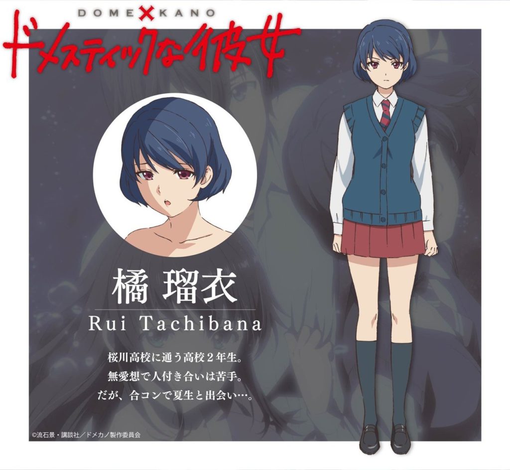 Revelan diseños de personajes del anime Domestic na Kanojo — Kudasai
