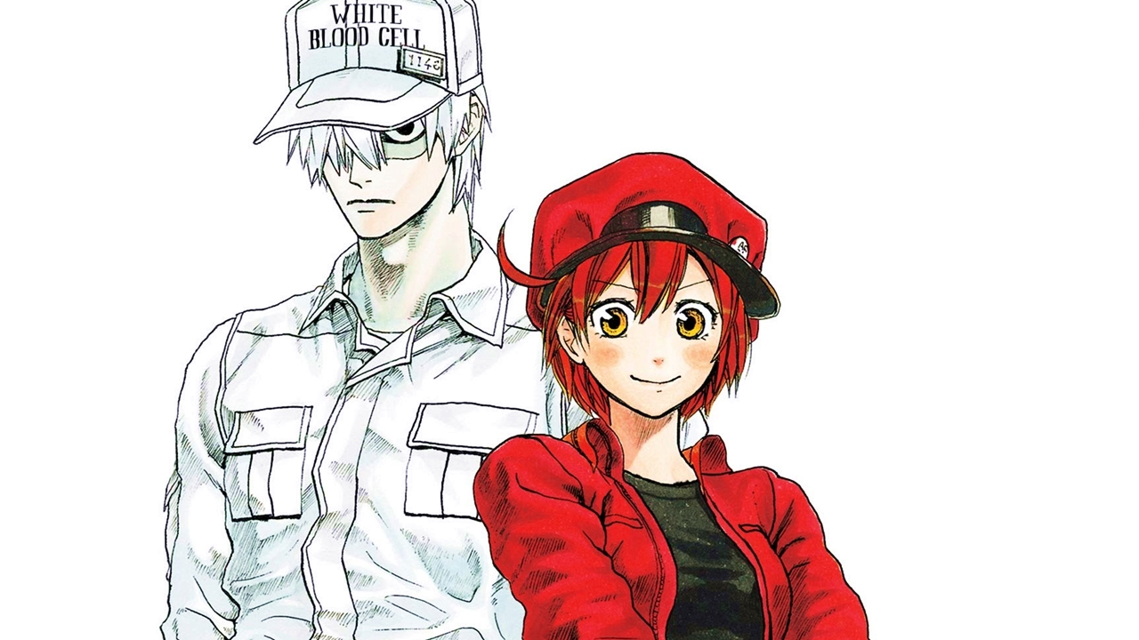 Hataraku Saibou Manga Gets A New Chapter In October Anime Sweet