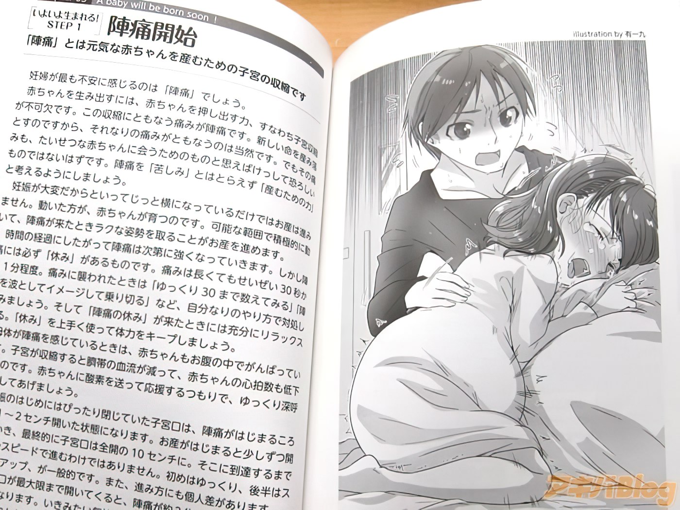 Conoce la guía para embarazarse que incluye ilustraciones tipo anime —  Kudasai