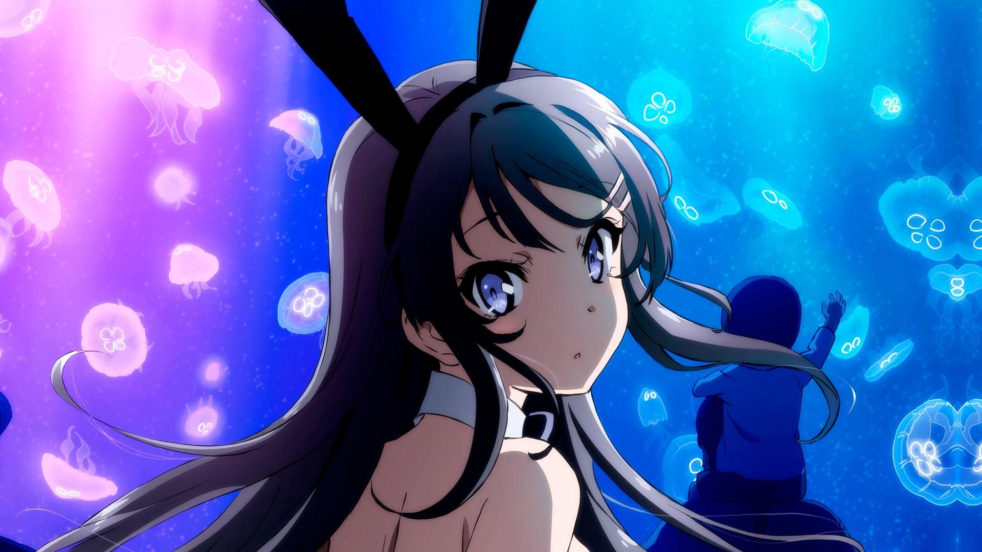 El anime Seishun Buta Yarou contará con un proyecto secuela — Kudasai
