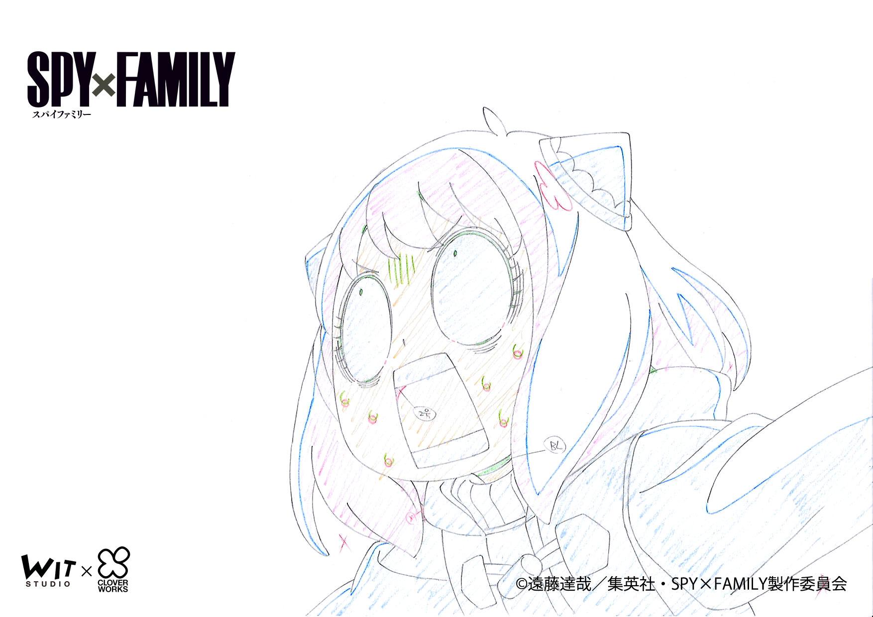 ▷ SPY x FAMILY Manga has more than 8 million copies in